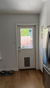 Exterior Door Replacement with Pet Door in Buda