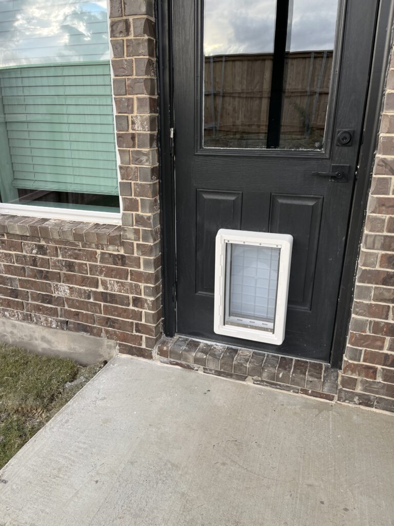 Pet Door Installation in Buda