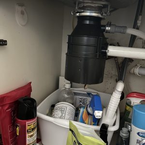 Garbage Disposal Repair in Austin