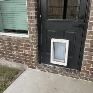 Pet Door Installation in Buda