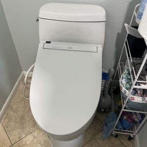Toilet and Bidet Installation in Austin